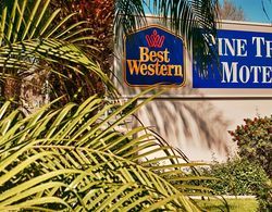 Best Western Pine Tree Motel Genel