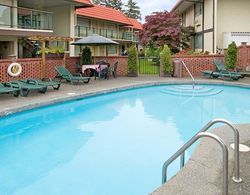 Best Western Plus Burnaby Hotel and Conference Cen Havuz