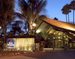 Best Western Plus Island Palms Hotel and Marina Genel