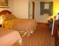 Best Western Plus Ludlow Colonial Motel Genel