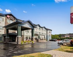 Best Western Plus Vineyard Inn & Suites Genel