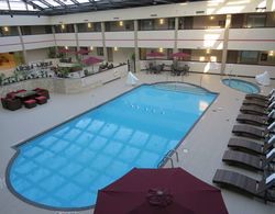 Best Western Premier Milwaukee Brookfield Hotel Havuz