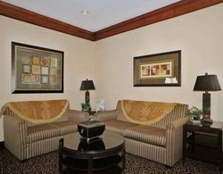 Best Western South Plains Inn & Suites Genel