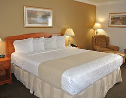 Best Western Town & Country Hotel Genel