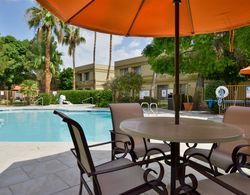 Best Western Tucson Intl Airport Hotel & Suites Havuz