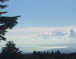 Betulla dell'Etna Oda Manzaraları