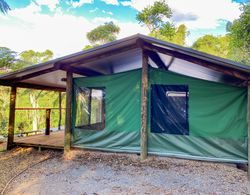 Binna Burra Rainforest Campsite Dış Mekan