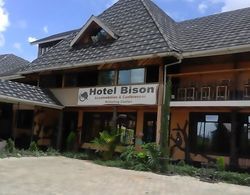 Bison Hotel Öne Çıkan Resim