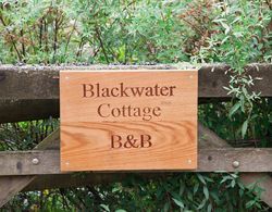 Blackwater Cottage B&B Dış Mekan
