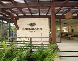 Hotel Blanco Tulum Dış Mekan