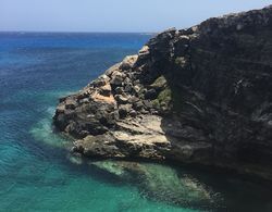Blu Green Lampedusa Genel