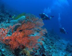 Blue Hill Dive Resort Tulamben Genel