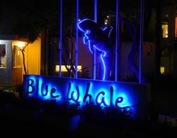Blue Whale beach boutique Resort Dış Mekan