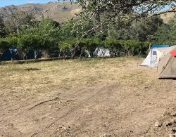 Bodrum Masali Camping Dış Mekan