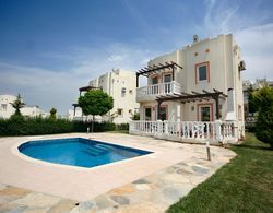 Bodrum Tuzlada Ozel Havuzlu Mustakil Villa Bd418 Genel