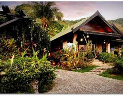 Boomerang Village Resort Genel