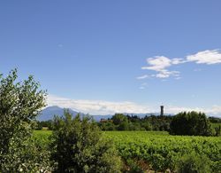 Borgo San Donino - Selva Capuzza Dış Mekan