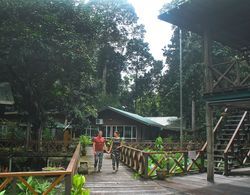 Borneo Nature Lodge Öne Çıkan Resim
