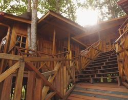 Borneo Tree House Dış Mekan