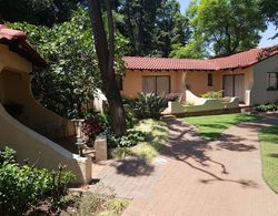 Villa Botanica Executive Guest House Dış Mekan