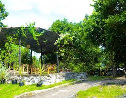 Bougainvillea Paradise Campground Dış Mekan