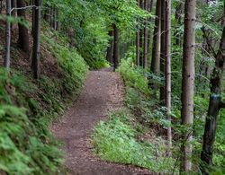 Boutique-Hotel LiebesNesterl Bergwirt Genel