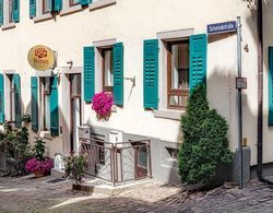 Boutique Hotel Rose Baden-Baden Dış Mekan