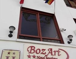 BozArt Hotel Boutique Dış Mekan