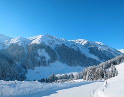 Brugger Ramsau im Zillertal Oda