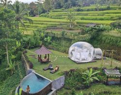 Bubble Hotel Bali Ubud Dış Mekan