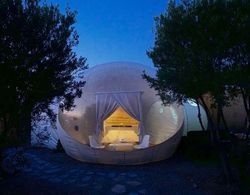 bubble tents Halkidiki Oda Düzeni