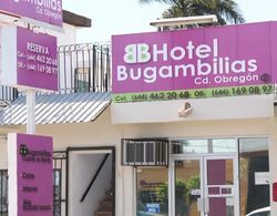 Hotel Bugambilias Dış Mekan