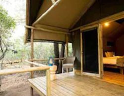 Bundox Safari Lodge Dış Mekan
