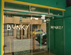 Bunky Monkey Dış Mekan