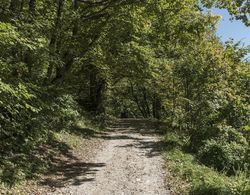 Burg Altpernstein Genel