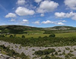 Burren Bushcraft - Camping & Adventures Genel