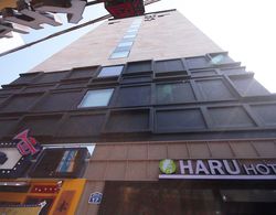 Busan Seomyeon Haru Hotel Dış Mekan