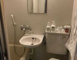 Business hotel route9 Banyo Tipleri