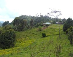 Bwindi Panorama Resort Dış Mekan