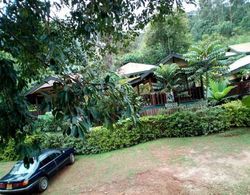 Bwindi View Lodge & Camp Site Dış Mekan