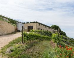 Ca' del Moro Wine Retreat Dış Mekan