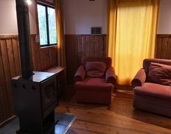 Cabana Oregon con hot tub Exclusivo Cerca de Termas y Lago İç Mekan