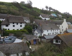 Cadgwith Cove Inn Genel