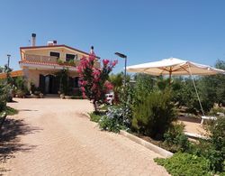 Villa Calendula Dış Mekan