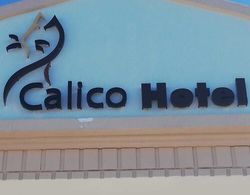 Calico Hotel Dış Mekan