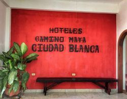 Hotel Camino Maya Ciudad Blanca İç Mekan