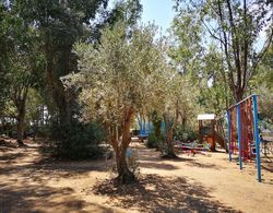 Camping Fico d'India Genel