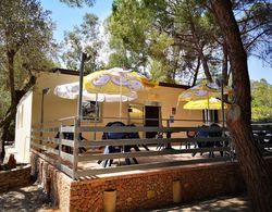 Camping Fico d'India Genel