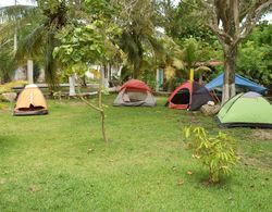 Camping Hostal El Árbol de la Vida Dış Mekan