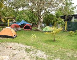 Camping Hostal El Árbol de la Vida Misafir Tesisleri ve Hizmetleri